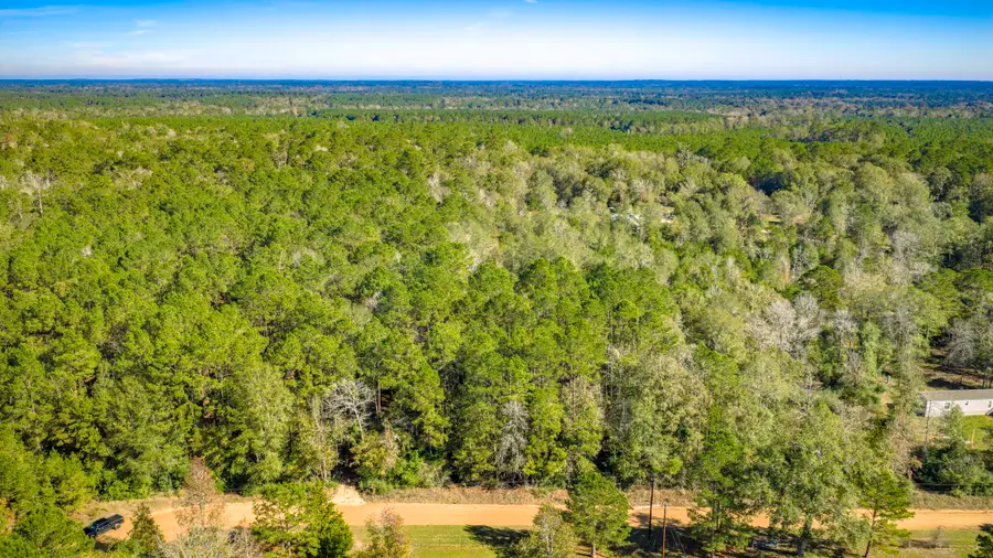 Lot 2 & 3 Portico, Livingston, TX 77351 - Image #2