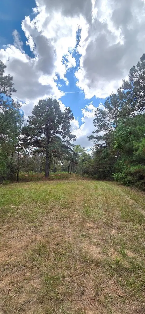 0 & 29699 Mcclellan Court W, Hempstead, TX 77355