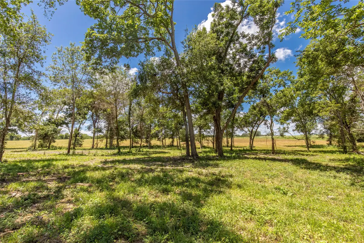 TBD Lynn Road, Chappell Hill, TX 77426 - Image #1