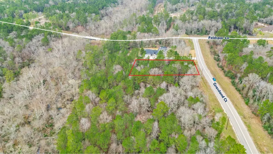 TBD Grassland Court, Huntsville, TX 77340 - #3