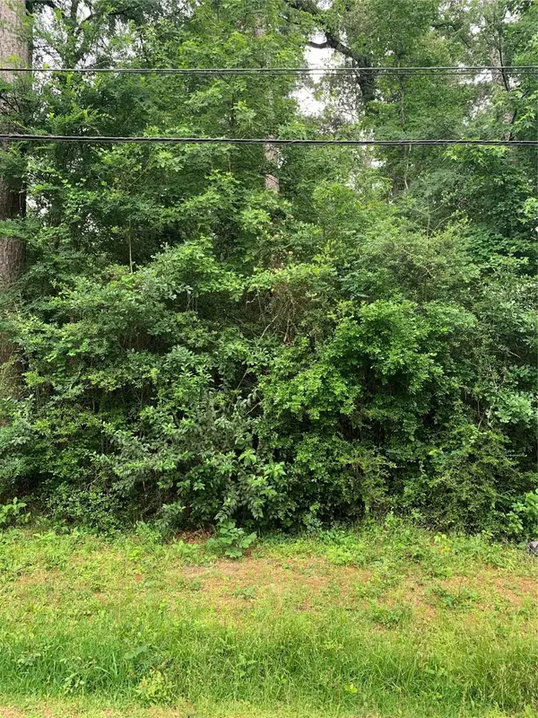 TBD Birch Street, Montgomery, TX 77356