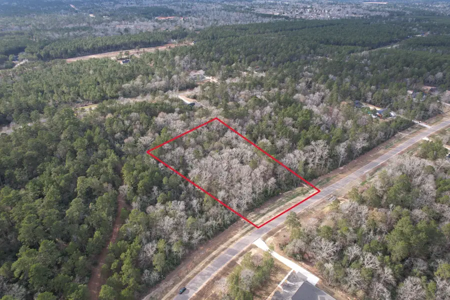 16157 Ridge Oak Road, Willis, TX 77378 - Image #2