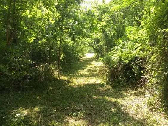 3979 Felder Road, Washington, TX 77880 - Image #2