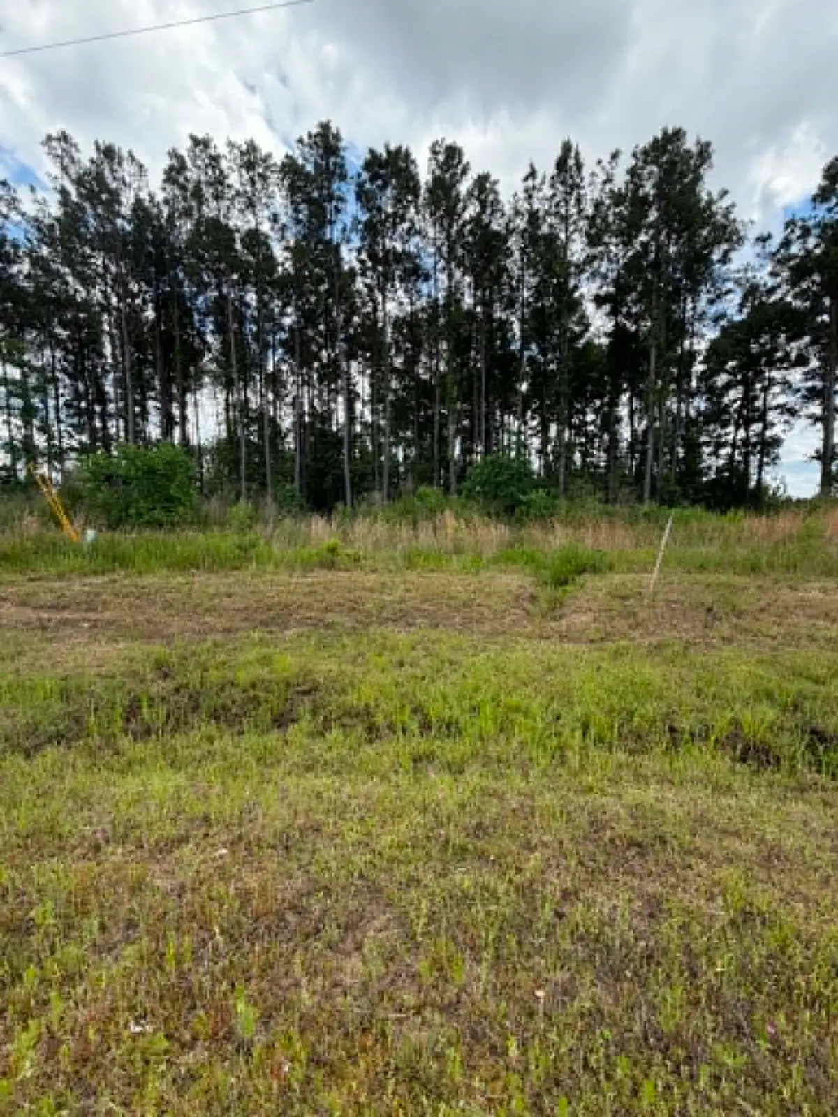 1172 Road 5913, Cleveland, TX 77327 - #1