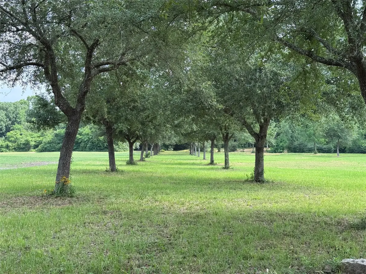 24077 Old Dobbin Plantersvil Road, Montgomery, TX 77316 - #1