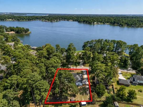 14131 Lakepoint Drive, Willis, TX 77318 - #1