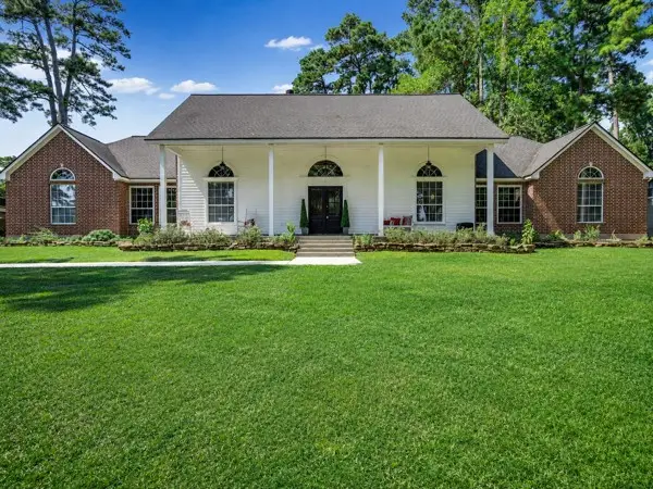 14131 Lakepoint Drive, Willis, TX 77318 - #2