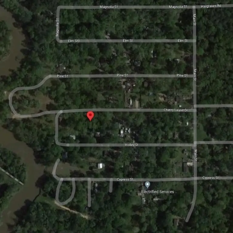 120 Cherry Laurel Street, Huffman, TX 77336 - #2