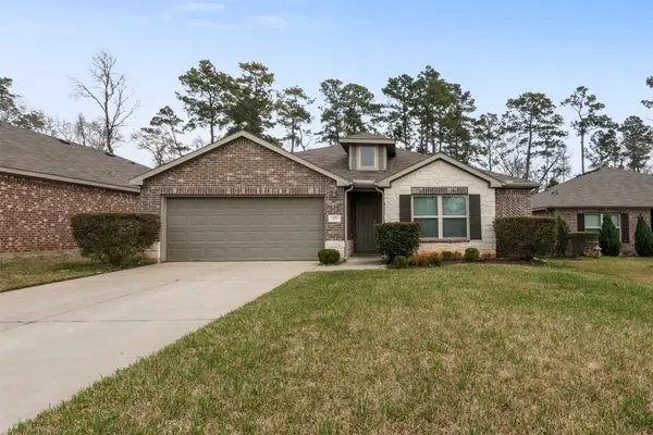 175 Courageous Side Way, Magnolia, TX 77354