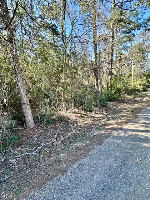 TBD Gazelle, Onalaska, TX 77360 - #1