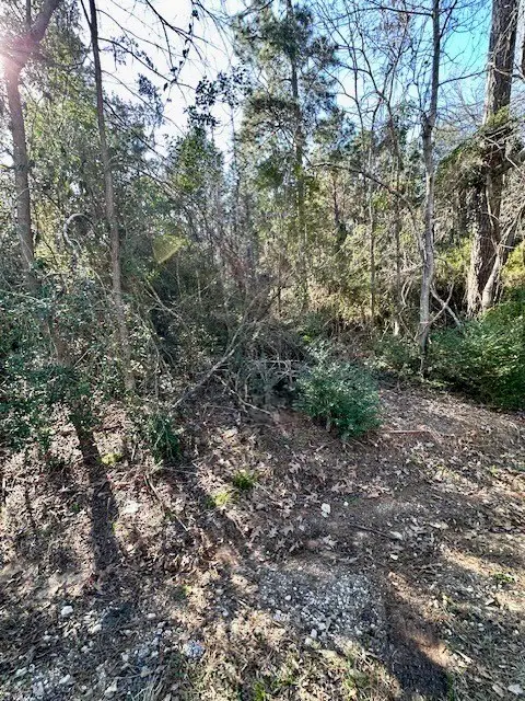 TBD Gazelle, Onalaska, TX 77360 - #3