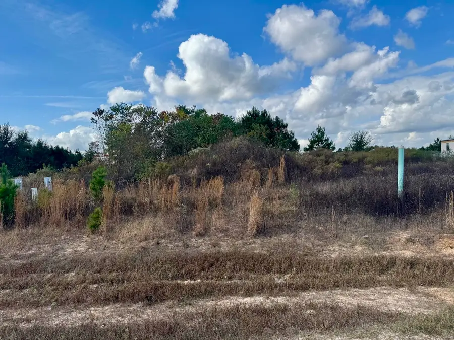 1035 Road 5704, Cleveland, TX 77327 - Image #3