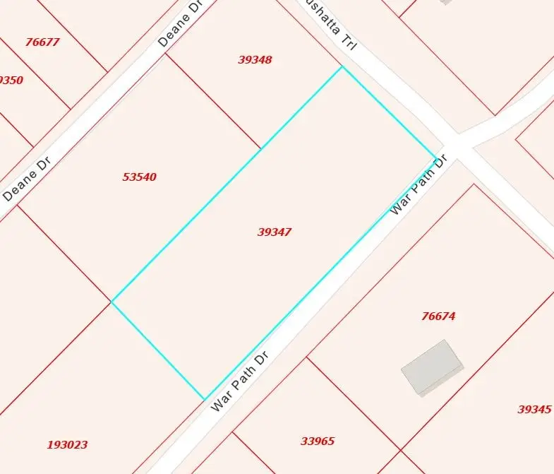 0 Warpath Drive, Livingston, TX 77351 - Image #2