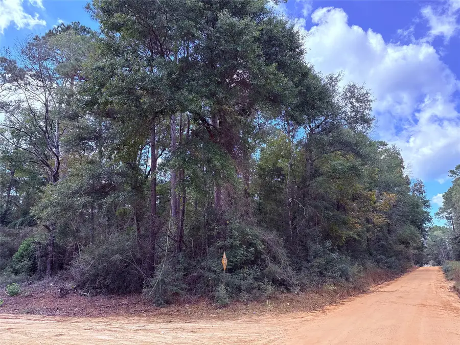 0 Warpath Drive, Livingston, TX 77351 - Image #3