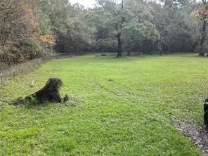 3307 Hamilton Circle, Conroe, TX 77304 - #2