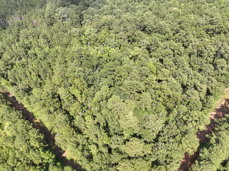 6 Off Highway 21, Geneva, TX 75959 - #3