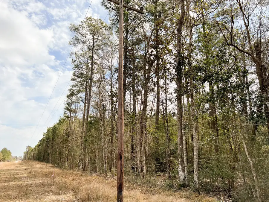 0000000 Fm 1746, Spurger, TX 77660 - Image #3