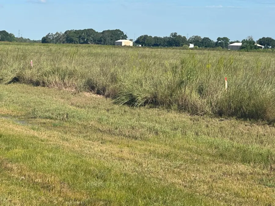 0 Highway 36 S Expressway S, Guy, TX 77444 - Image #3