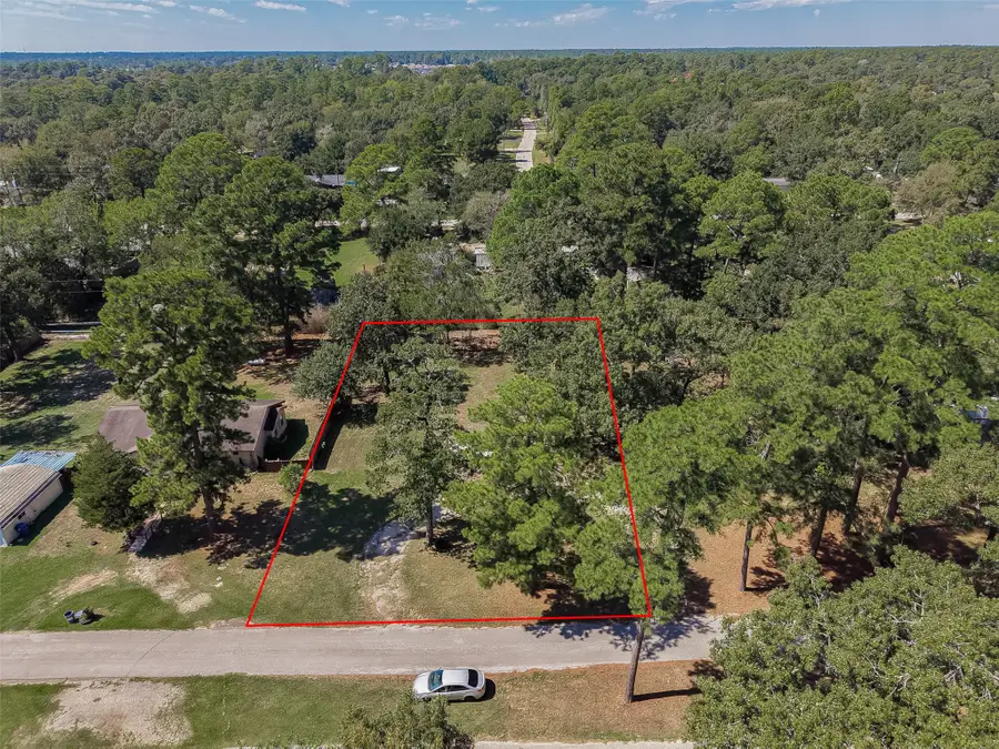 30803 Klein Drive, Magnolia, TX 77355 - #3