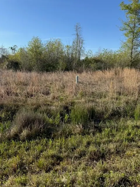 668 Road 5816, Cleveland, TX 77327 - #3