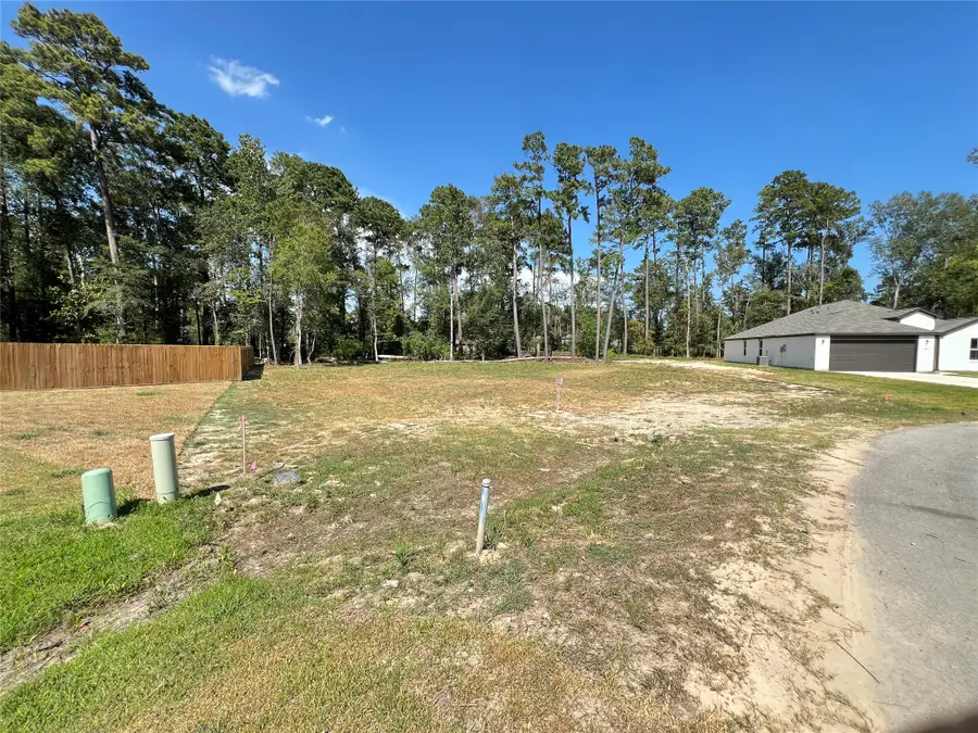 818 Scribe St, New Caney, TX 77357 - #2