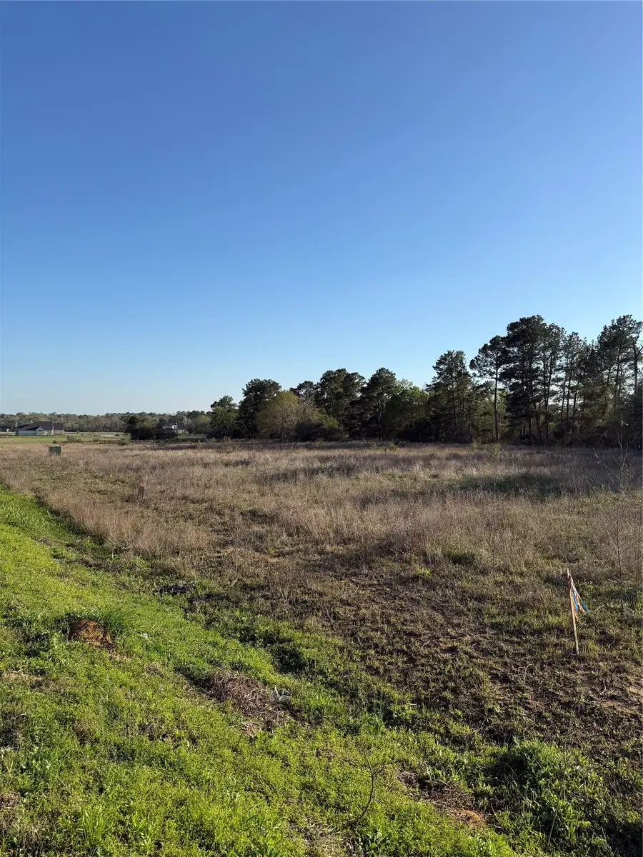 9480 Cedar Creek Lane, Plantersville, TX 77363 - #3