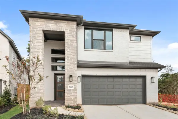 26513 Skylight Brook Court, Montgomery, TX 77316