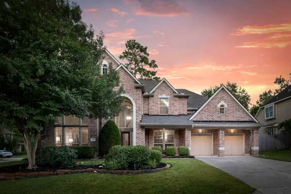 14 Mammoth Springs Court, The Woodlands, TX 77382