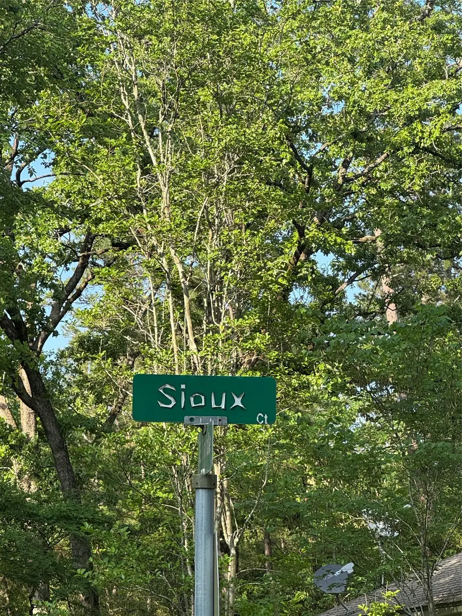 Sioux Court, Huntsville, TX 77320 - #3