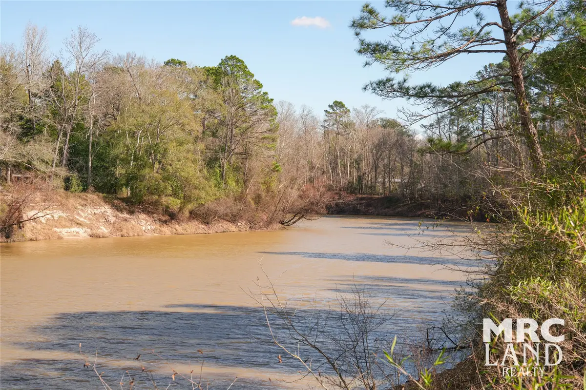 00 Sam Rayburn Pkwy, Colmesneil Chester, TX 75951 - Image #1