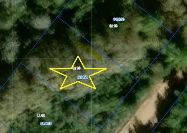 TBD Holly Springs Drive, Hilltop Lakes, TX 77871