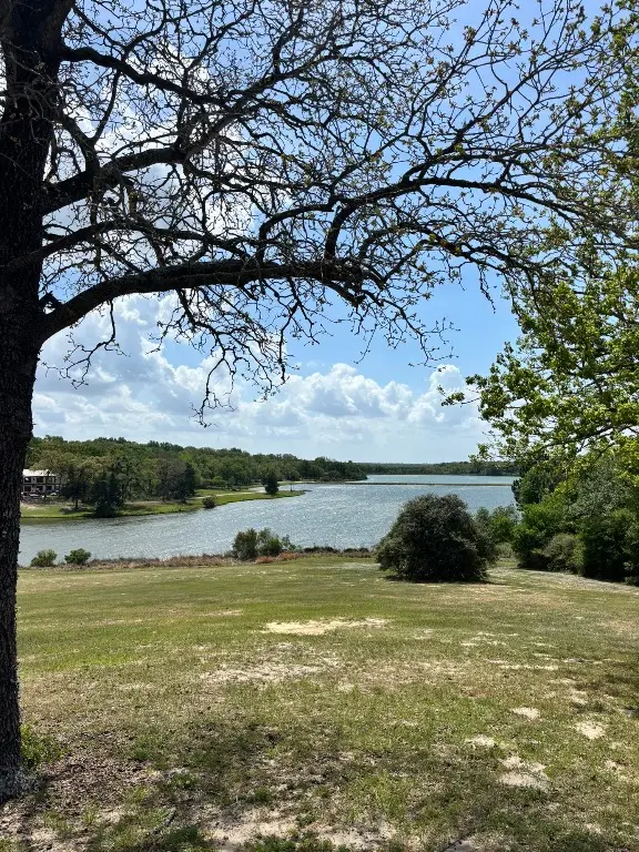 TBD Holly Springs Drive, Hilltop Lakes, TX 77871 - #3