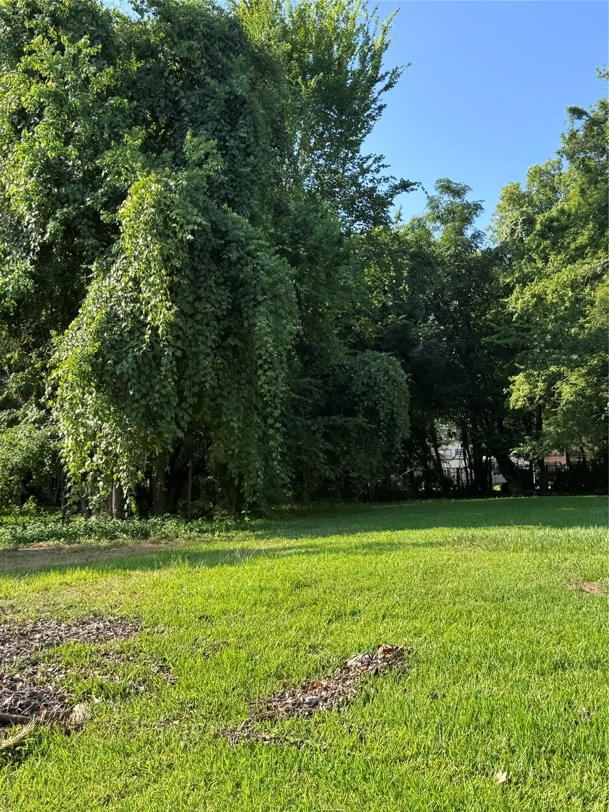 910 Sherman Street, Beaumont, TX 77701 - #1
