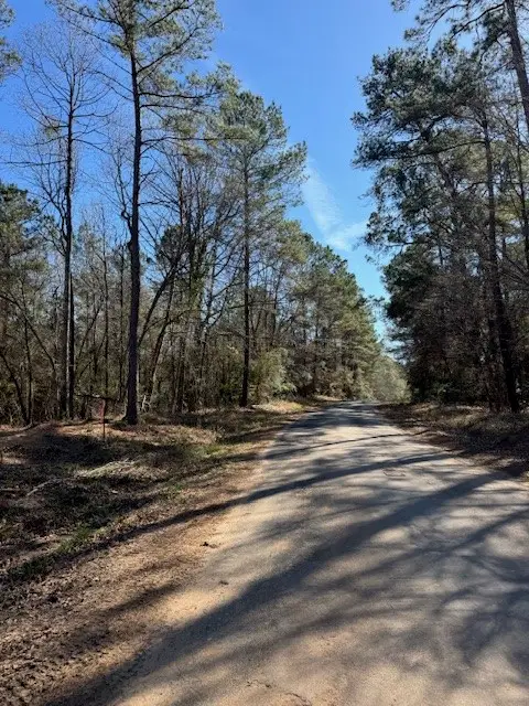 TBD LOT 46 Highline Drive, Livingston, TX 77351 - #3