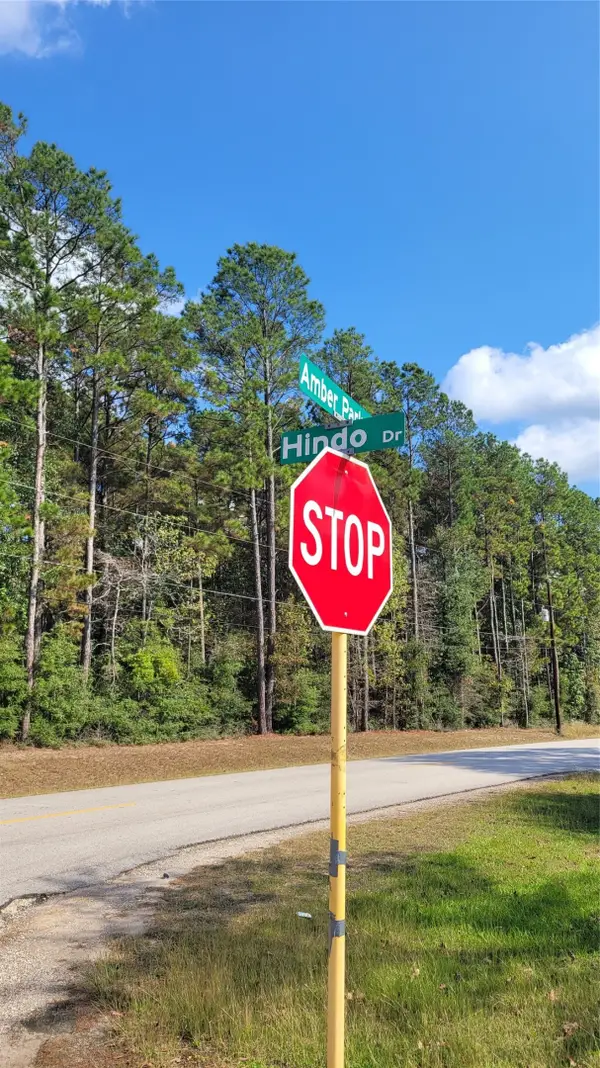 0 Hindo, Conroe, TX 77303