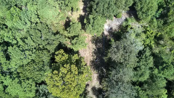 TBD Cove Lake Drive, Livingston, TX 77351