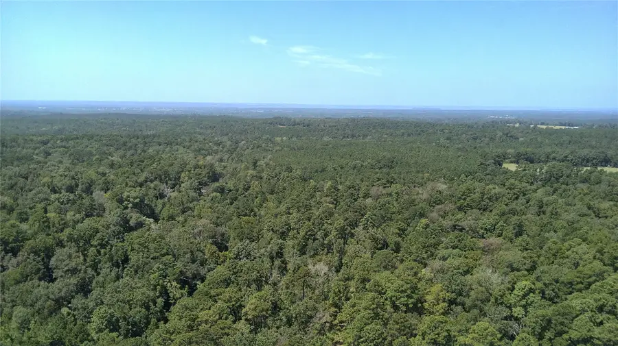 TBD Cove Lake Drive, Livingston, TX 77351 - #2