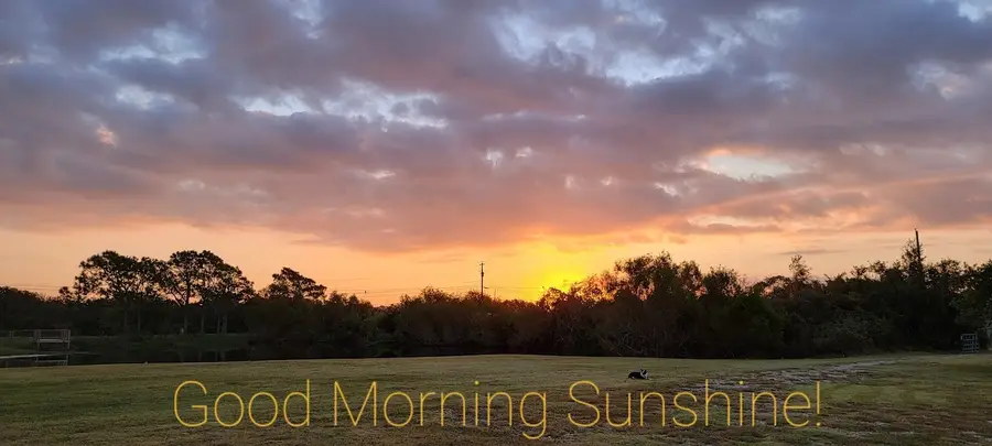 3162 W Monroe Ave, Port O Connor, TX 77982 - #2