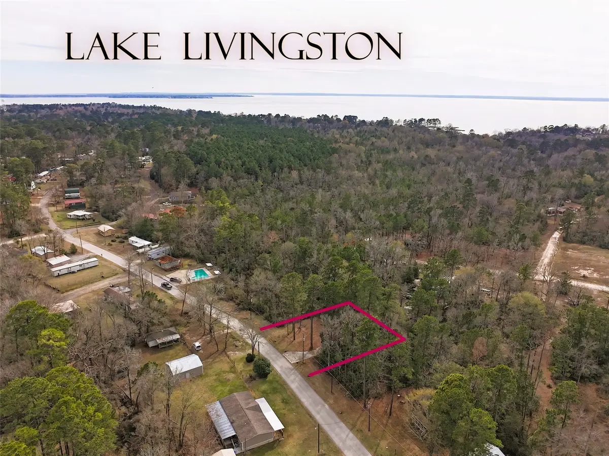 294 & 306 Impala Drive, Onalaska, TX 77360 - #1
