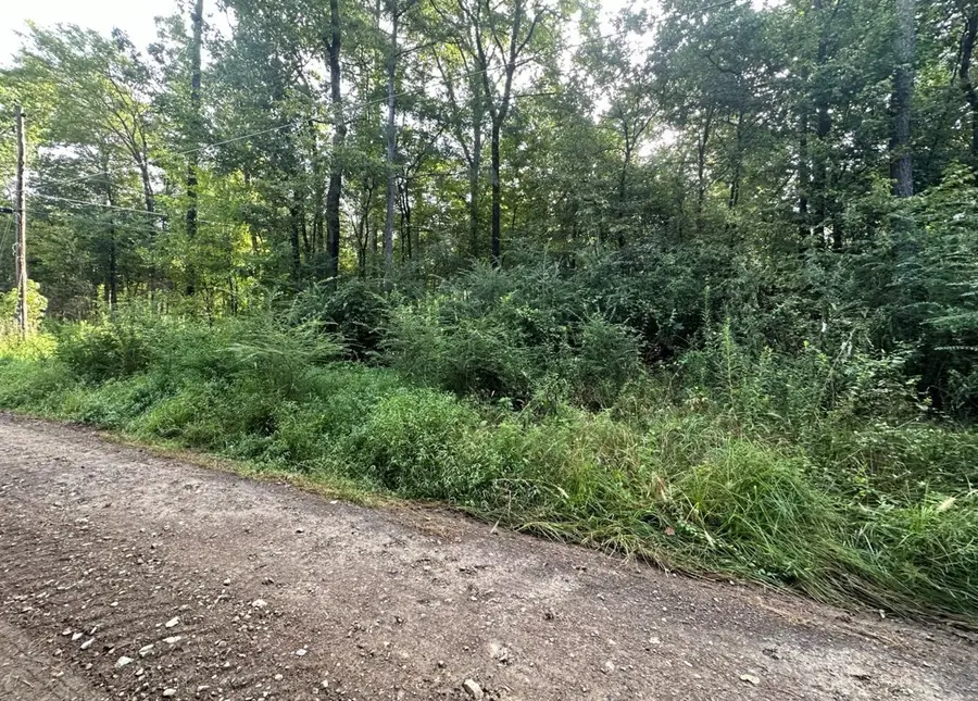 Lots 34-35 Fury Street, Hot Springs National Park, Ar 71913 - #3