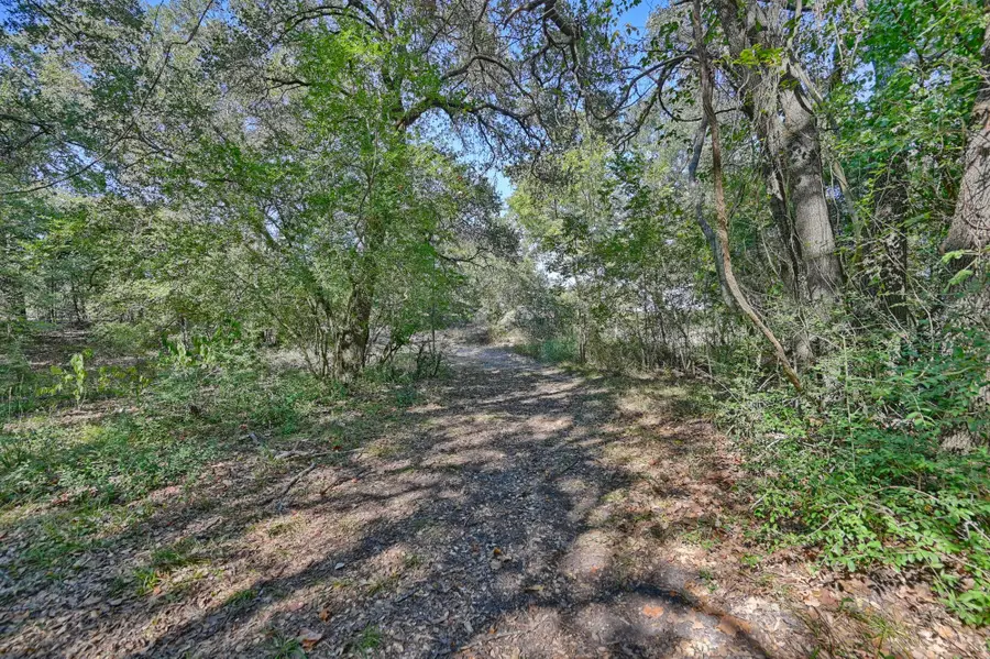 TBD Ullrich Road, Carmine, TX 78932 - #3