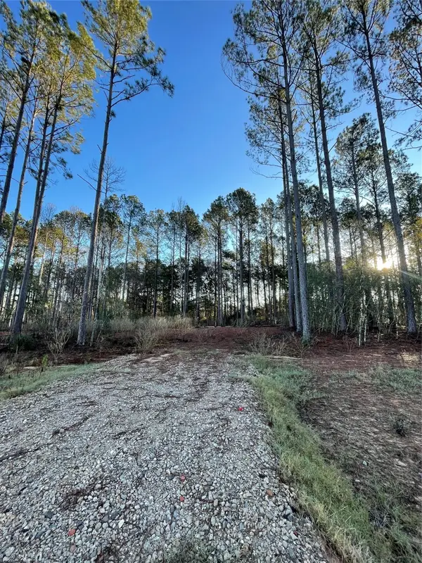 11356 Annie Creek Drive, Willis, TX 77378