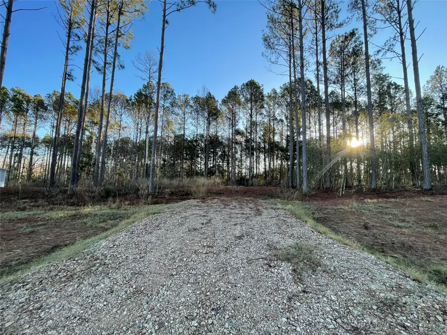 11356 Annie Creek Drive, Willis, TX 77378 - #3