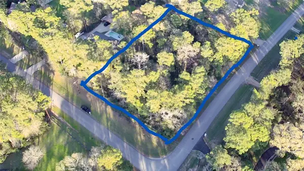 000 Baneberry Road, Magnolia, TX 77355