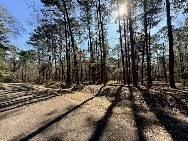 220 Altwood Drive, Coldspring, TX 77331 - #1