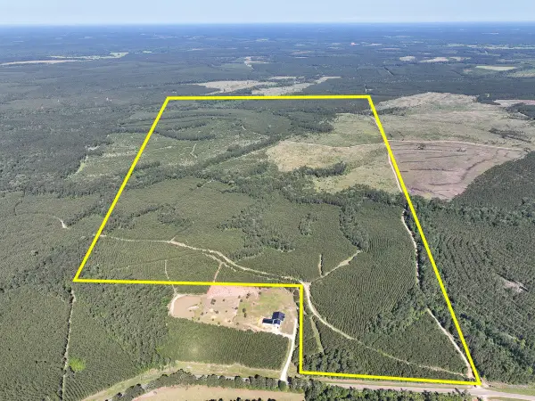T-1 Fm 355 Eliot, Groveton, TX 75845