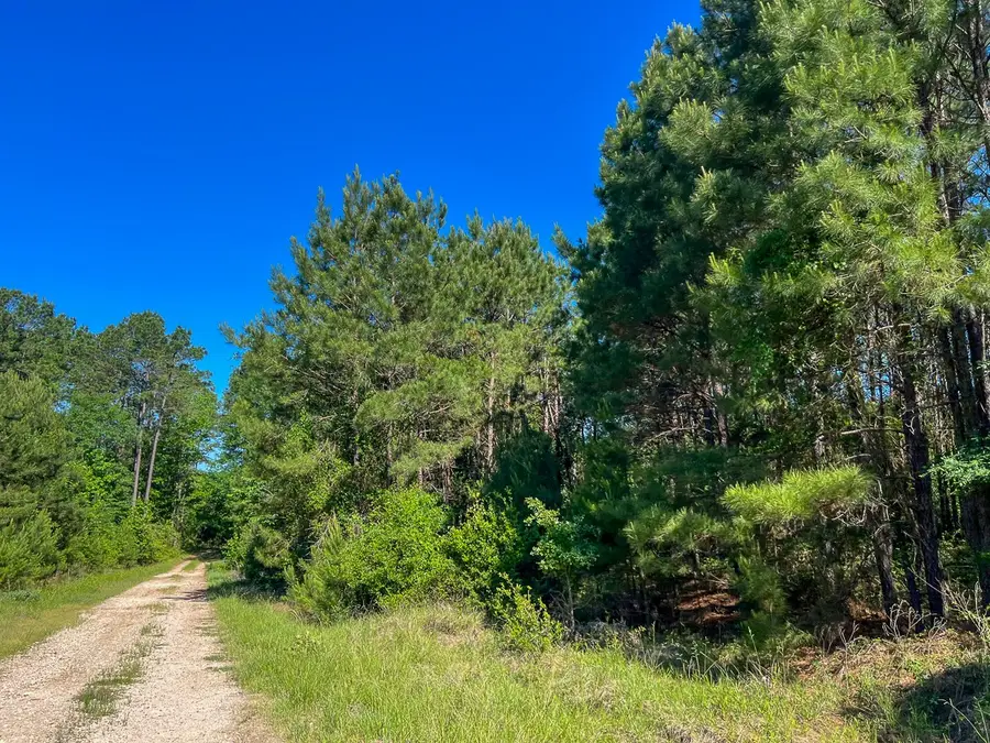 T-1 Fm 355 Eliot, Groveton, TX 75845 - #2