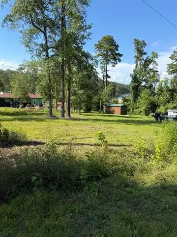 234 Hillcrest Drive, Hemphill, TX 75948 - #1