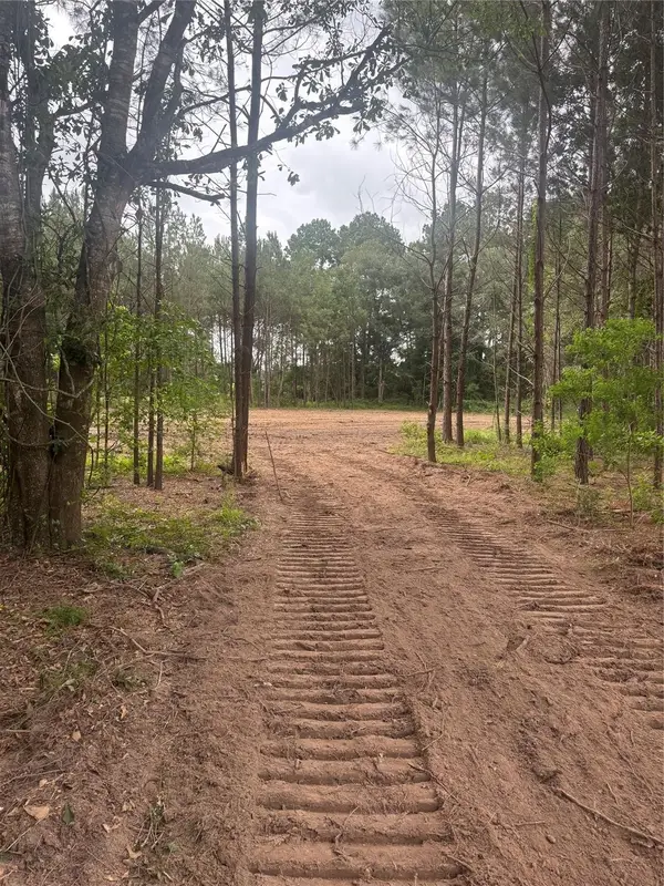 TBD County Road 3015 - Tract C2, Dayton, TX 77535