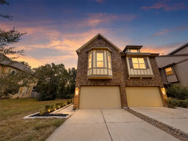 126 Cheswood Forest Place, Montgomery, TX 77316